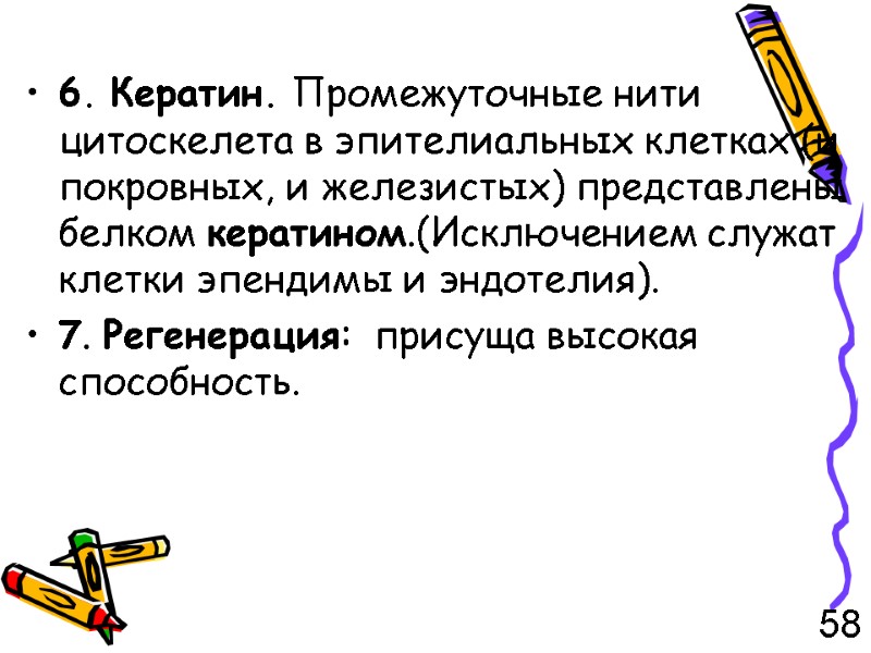 6. Кератин. Промежуточные нити цитоскелета в эпителиальных клетках (и покровных, и железистых) представлены белком